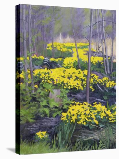Yellow Flowers-Rusty Frentner-Stretched Canvas