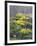 Yellow Flowers-Rusty Frentner-Framed Giclee Print