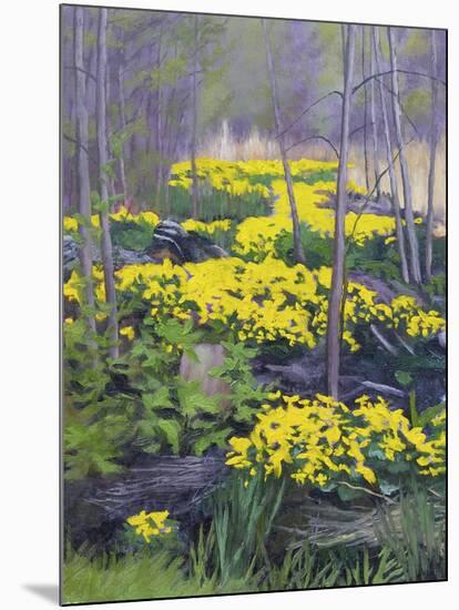 Yellow Flowers-Rusty Frentner-Mounted Giclee Print