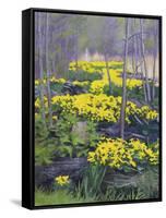 Yellow Flowers-Rusty Frentner-Framed Stretched Canvas