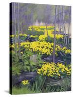 Yellow Flowers-Rusty Frentner-Stretched Canvas