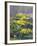 Yellow Flowers-Rusty Frentner-Framed Giclee Print