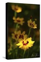 Yellow Flowers-5fishcreative-Stretched Canvas