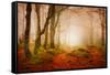 Yellow Forest Mist-Philippe Sainte-Laudy-Framed Stretched Canvas