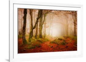 Yellow Forest Mist-Philippe Sainte-Laudy-Framed Photographic Print