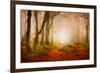 Yellow Forest Mist-Philippe Sainte-Laudy-Framed Photographic Print