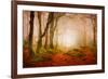 Yellow Forest Mist-Philippe Sainte-Laudy-Framed Photographic Print