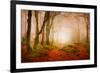 Yellow Forest Mist-Philippe Sainte-Laudy-Framed Photographic Print