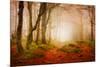 Yellow Forest Mist-Philippe Sainte-Laudy-Mounted Photographic Print