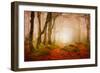 Yellow Forest Mist-Philippe Sainte-Laudy-Framed Photographic Print