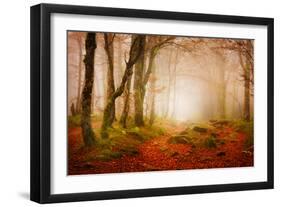 Yellow Forest Mist-Philippe Sainte-Laudy-Framed Photographic Print