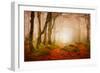 Yellow Forest Mist-Philippe Sainte-Laudy-Framed Photographic Print