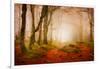 Yellow Forest Mist-Philippe Sainte-Laudy-Framed Photographic Print