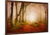 Yellow Forest Mist-Philippe Sainte-Laudy-Framed Photographic Print