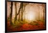 Yellow Forest Mist-Philippe Sainte-Laudy-Framed Photographic Print