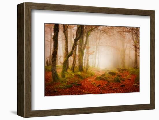 Yellow Forest Mist-Philippe Sainte-Laudy-Framed Photographic Print