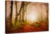 Yellow Forest Mist-Philippe Sainte-Laudy-Stretched Canvas