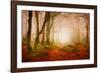 Yellow Forest Mist-Philippe Sainte-Laudy-Framed Photographic Print