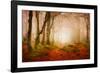 Yellow Forest Mist-Philippe Sainte-Laudy-Framed Photographic Print