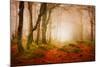 Yellow Forest Mist-Philippe Sainte-Laudy-Mounted Photographic Print