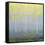 Yellow Forest-Herb Dickinson-Framed Stretched Canvas