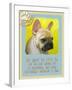 Yellow French Bulldog-Cathy Cute-Framed Giclee Print