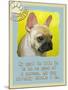 Yellow French Bulldog-Cathy Cute-Mounted Giclee Print