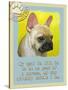 Yellow French Bulldog-Cathy Cute-Stretched Canvas