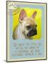 Yellow French Bulldog-Cathy Cute-Mounted Giclee Print