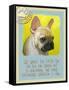 Yellow French Bulldog-Cathy Cute-Framed Stretched Canvas