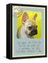 Yellow French Bulldog-Cathy Cute-Framed Stretched Canvas
