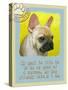 Yellow French Bulldog-Cathy Cute-Stretched Canvas