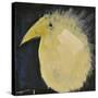 Yellow Fuzzy Bird-Tim Nyberg-Stretched Canvas