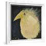 Yellow Fuzzy Bird-Tim Nyberg-Framed Giclee Print