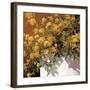 Yellow Geraniums-Philip Craig-Framed Giclee Print