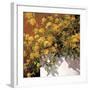 Yellow Geraniums-Philip Craig-Framed Giclee Print