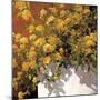 Yellow Geraniums-Philip Craig-Mounted Giclee Print