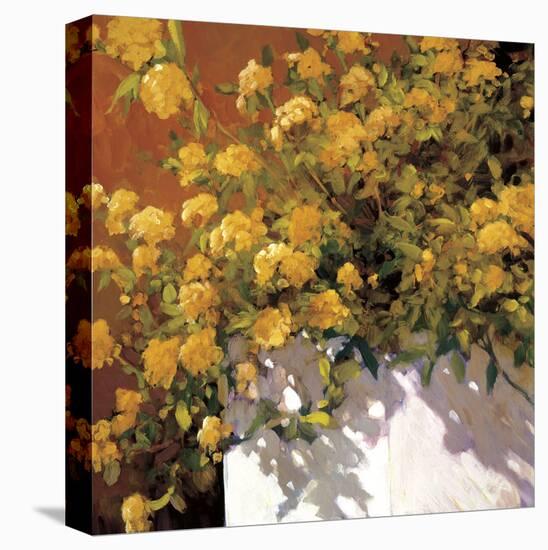 Yellow Geraniums-Philip Craig-Stretched Canvas