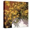 Yellow Geraniums-Philip Craig-Stretched Canvas