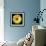 Yellow Gerbera Daisy-Jim Christensen-Framed Photographic Print displayed on a wall