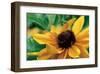 Yellow Gerbera-null-Framed Art Print