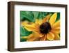 Yellow Gerbera-null-Framed Art Print