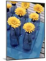 Yellow Gerberas in Blue Bottles-Elke Borkowski-Mounted Photographic Print