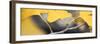 Yellow Gingko I-Rita Crane-Framed Photographic Print