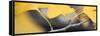 Yellow Gingko I-Rita Crane-Framed Stretched Canvas