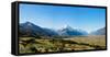 Yellow grass field with large mountains in the distance, South Island, New Zealand, Pacific-Logan Brown-Framed Stretched Canvas