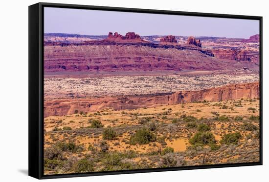 Yellow Grass Lands Moab Fault Arches National Park Moab Utah-BILLPERRY-Framed Stretched Canvas