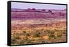 Yellow Grass Lands Moab Fault Arches National Park Moab Utah-BILLPERRY-Framed Stretched Canvas