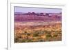 Yellow Grass Lands Moab Fault Arches National Park Moab Utah-BILLPERRY-Framed Photographic Print