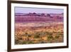 Yellow Grass Lands Moab Fault Arches National Park Moab Utah-BILLPERRY-Framed Photographic Print